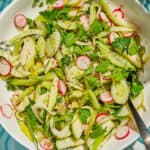 Celery Apple Fennel Salad with sesame parsley and radish